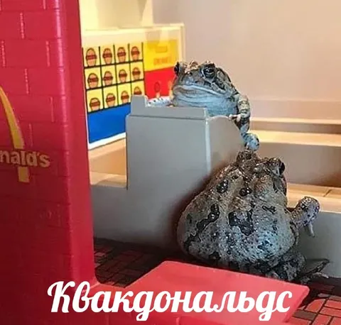 Квакдональдс с лягушками