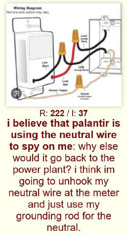 Palantir Neutral Wire Spy