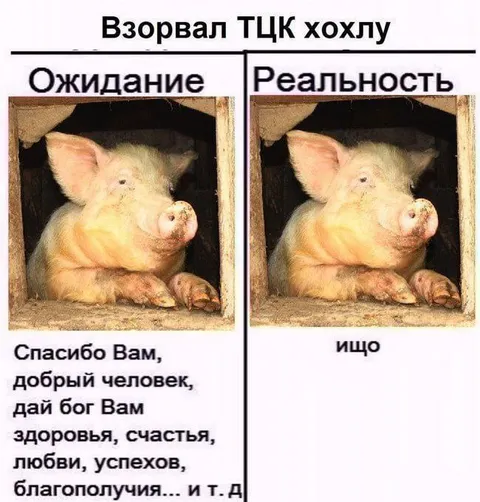 Взорвал ТЦК хохлу