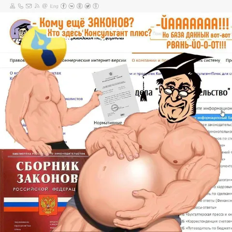 Консультант Плюс и законы