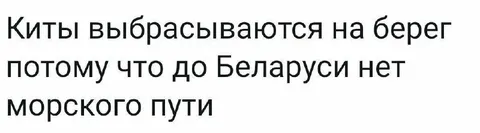 Киты выбрасываются на берег