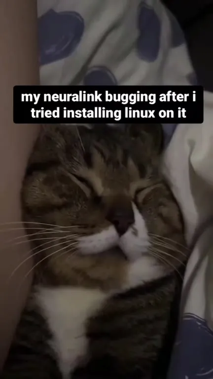 Neuralink Linux Cat