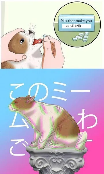Pills That Make You Aesthetic
