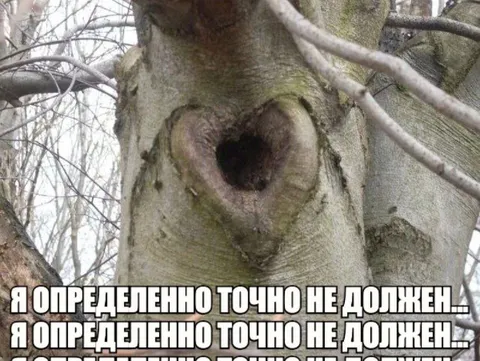 Я точно не должен