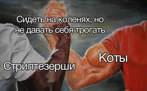 Сидеть на коленях, но не трогать