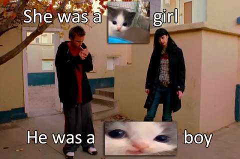 She Was a Girl He Was a Boy
