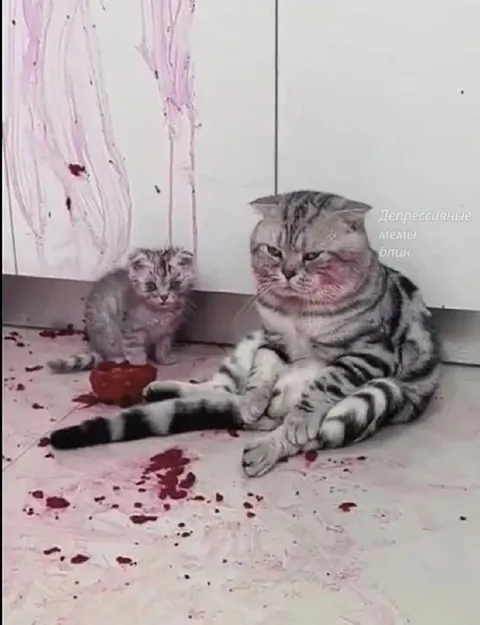 Кот после тяжёлого дня