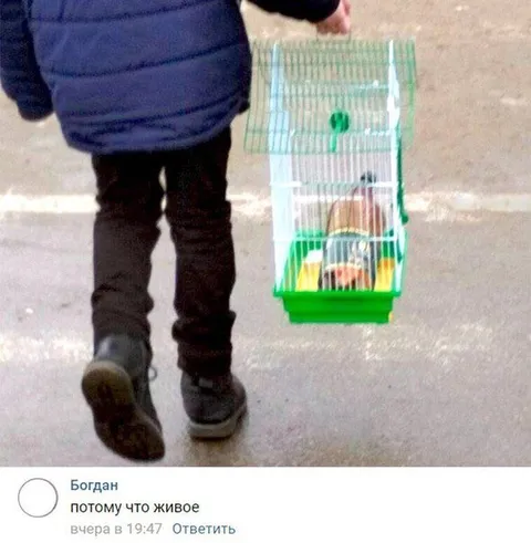 Потому что живое