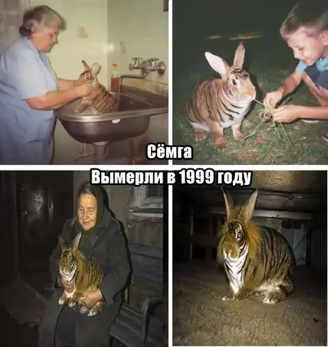 Кролик, вымерший в 1999 году