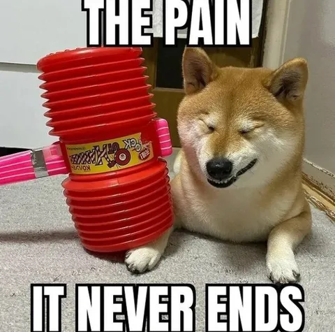 The Pain Never Ends