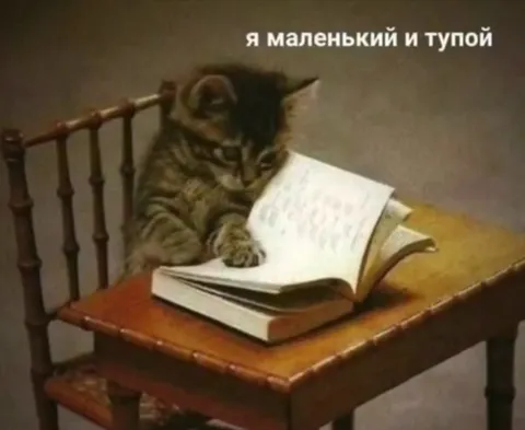 Я маленький и тупой котёнок