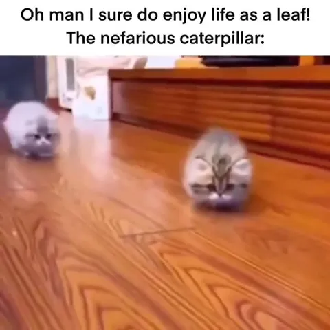 The Nefarious Caterpillar