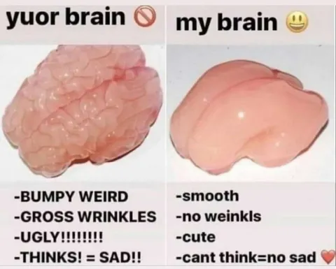 Your Brain Versus My Brain