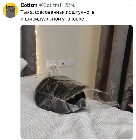 Кот в индивидуальной упаковке