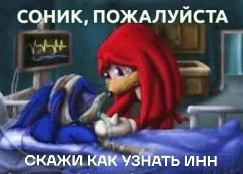 Соник, пожалуйста, скажи как узнать инн