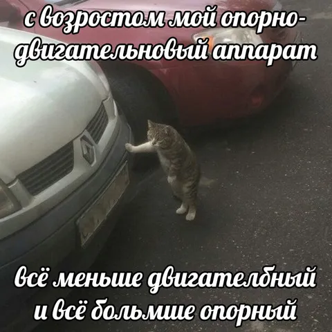 Опорно-двигательный аппарат с возрастом