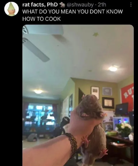Rat Demands Cooking Skills