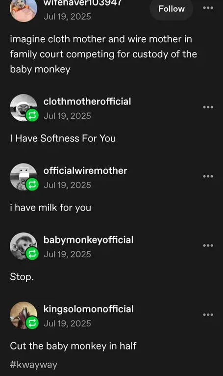 Monkey Custody Court Battle