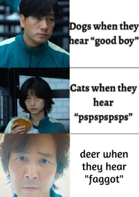 Dogs Cats Deer Hearing Their Names