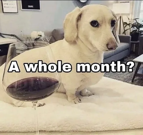 A Whole Month? Dog Reaction