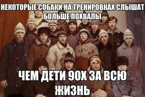 Собаки слышат больше похвалы