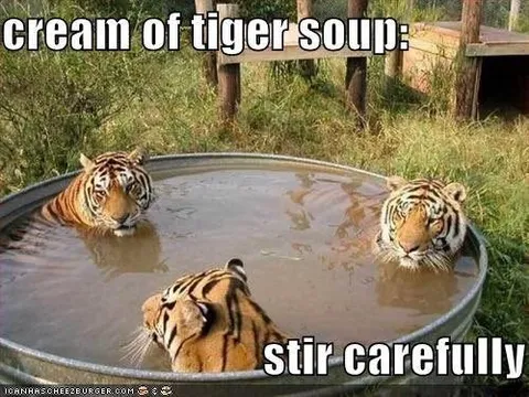 Cream of Tiger Soup