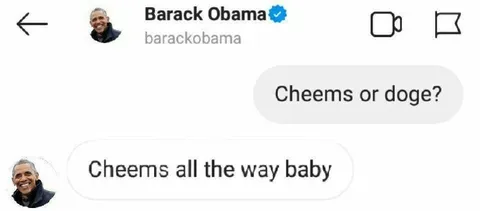 Cheems All the Way Baby