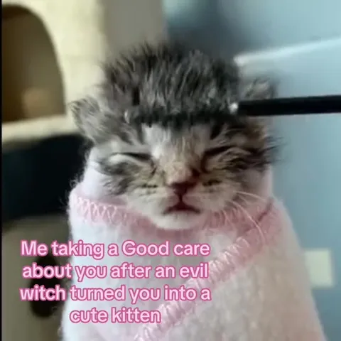 Taking Care of a Cursed Kitten