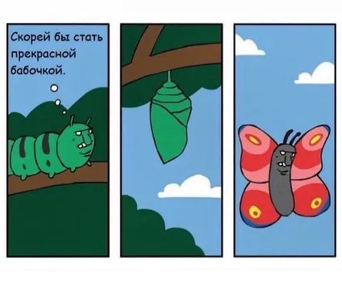 Скорей бы стать прекрасной бабочкой