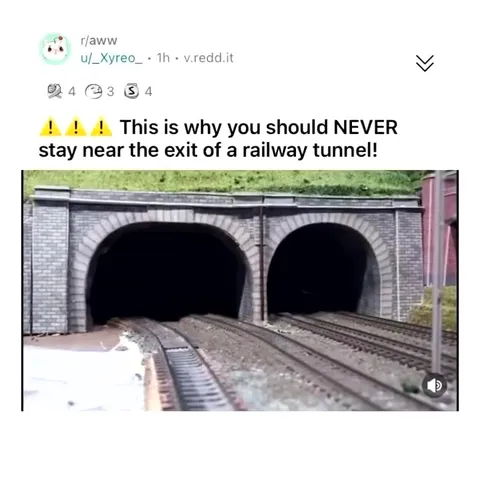 Giant Cat Comes Through Tunnel