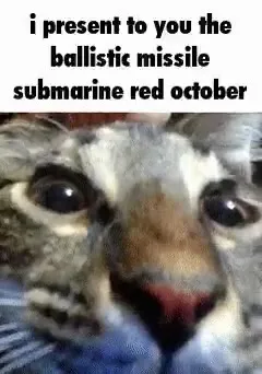 Ballistic Missile Cat Presentation