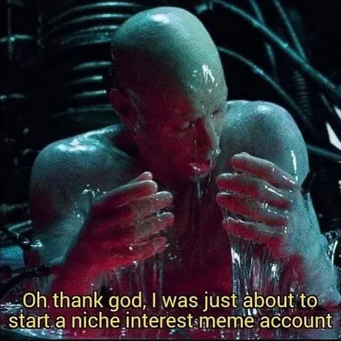 Niche Interest Meme Account