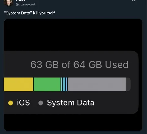 System Data Uses All Storage