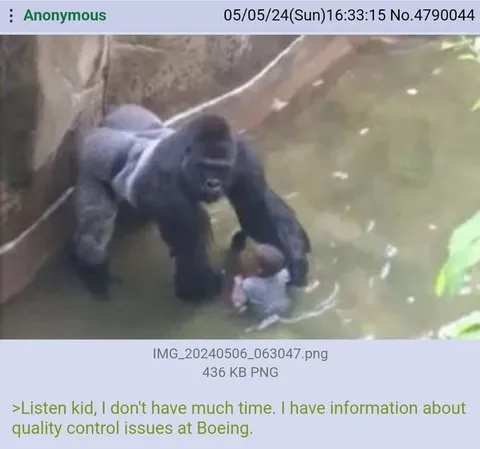 Gorilla Warns About Boeing