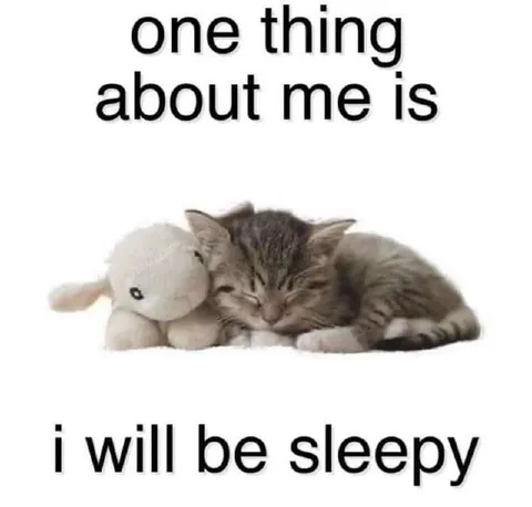 One Thing About Me Is Sleepy