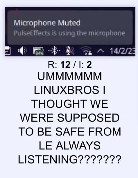 Linux Bros Thought They Were Safe