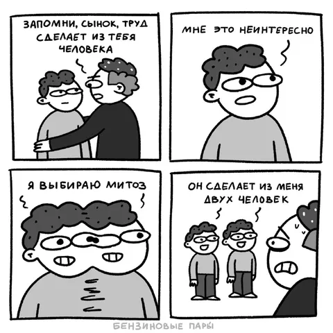 Я выбираю митоз