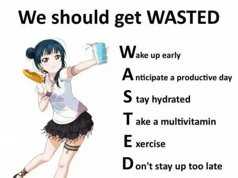 We Should Get WASTED