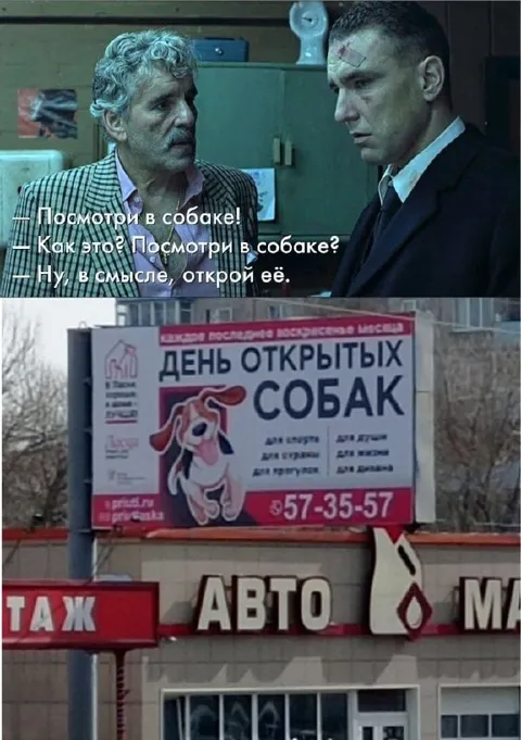 Посмотри в собаке