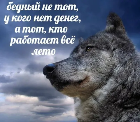 Бедный не тот, кто не работает
