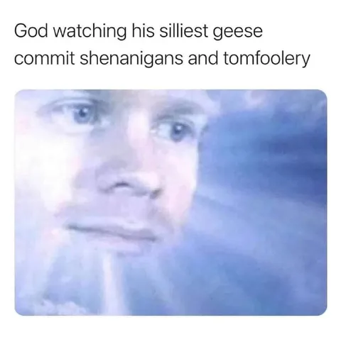 God Watching Silly Geese