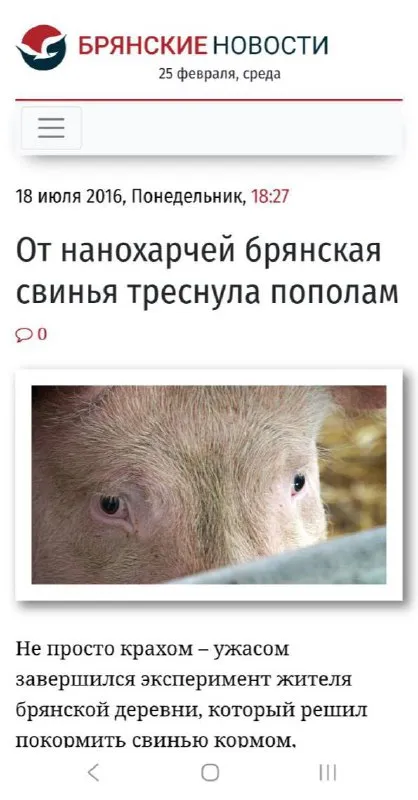 Свинья треснула пополам