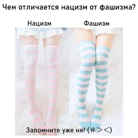 Чем отличается нацизм от фашизма