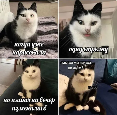 Когда планы на вечер изменились