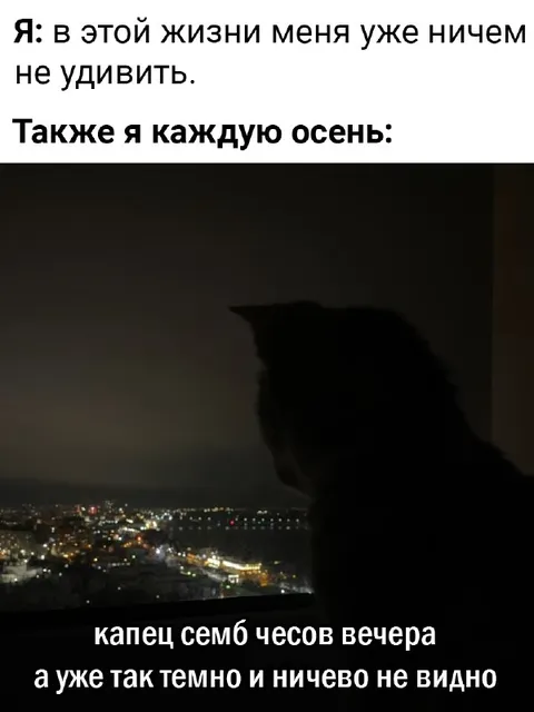 Кот не любит ранние вечера