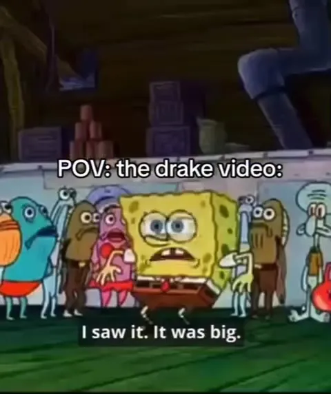 POV: the Drake video