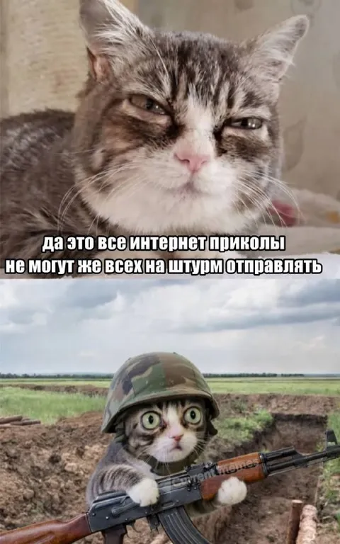 Интернет-приколы отправляют на штурм