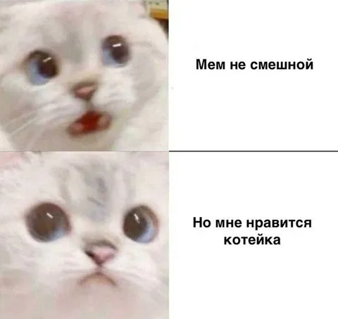 Мем не смешной, но котейка нравится