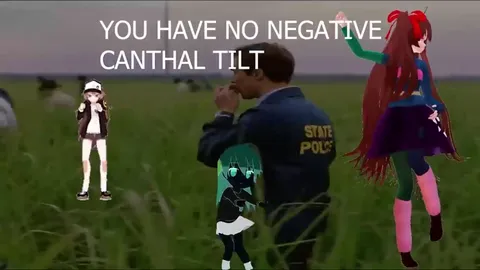 Никогда не станешь настоящим инцелом