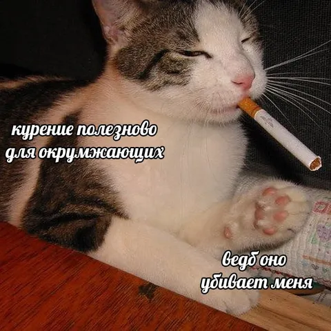 Курение полезно для окружающих